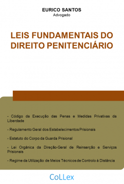 Leis Fundamentais do Direito Penitenciário